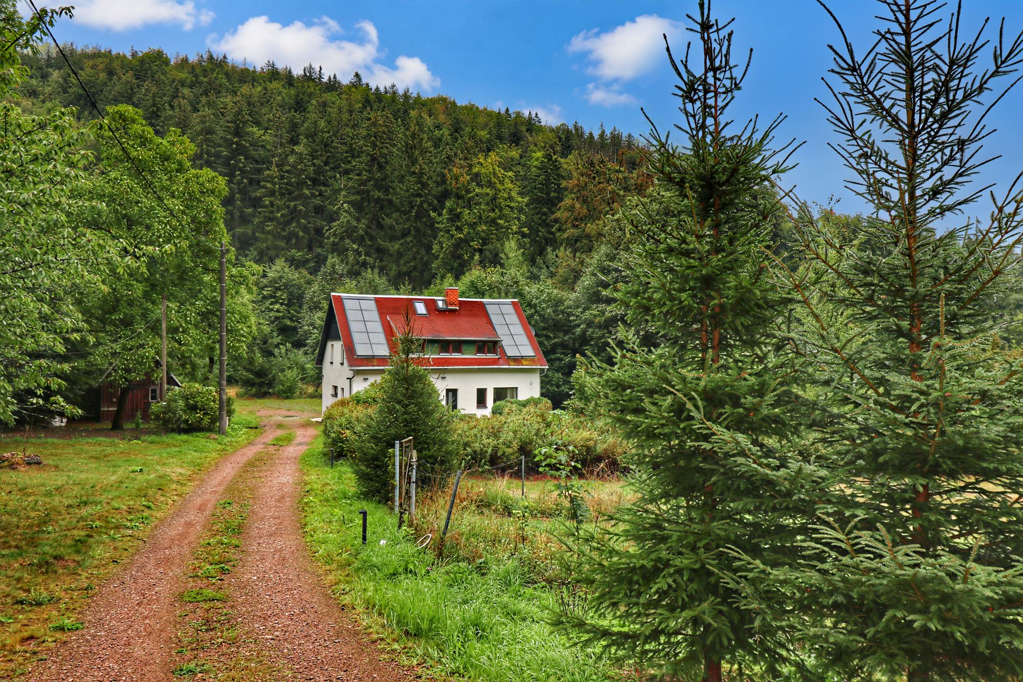 Zufahrt zur Lodge Bärenstein über die Wiese am Waldrand