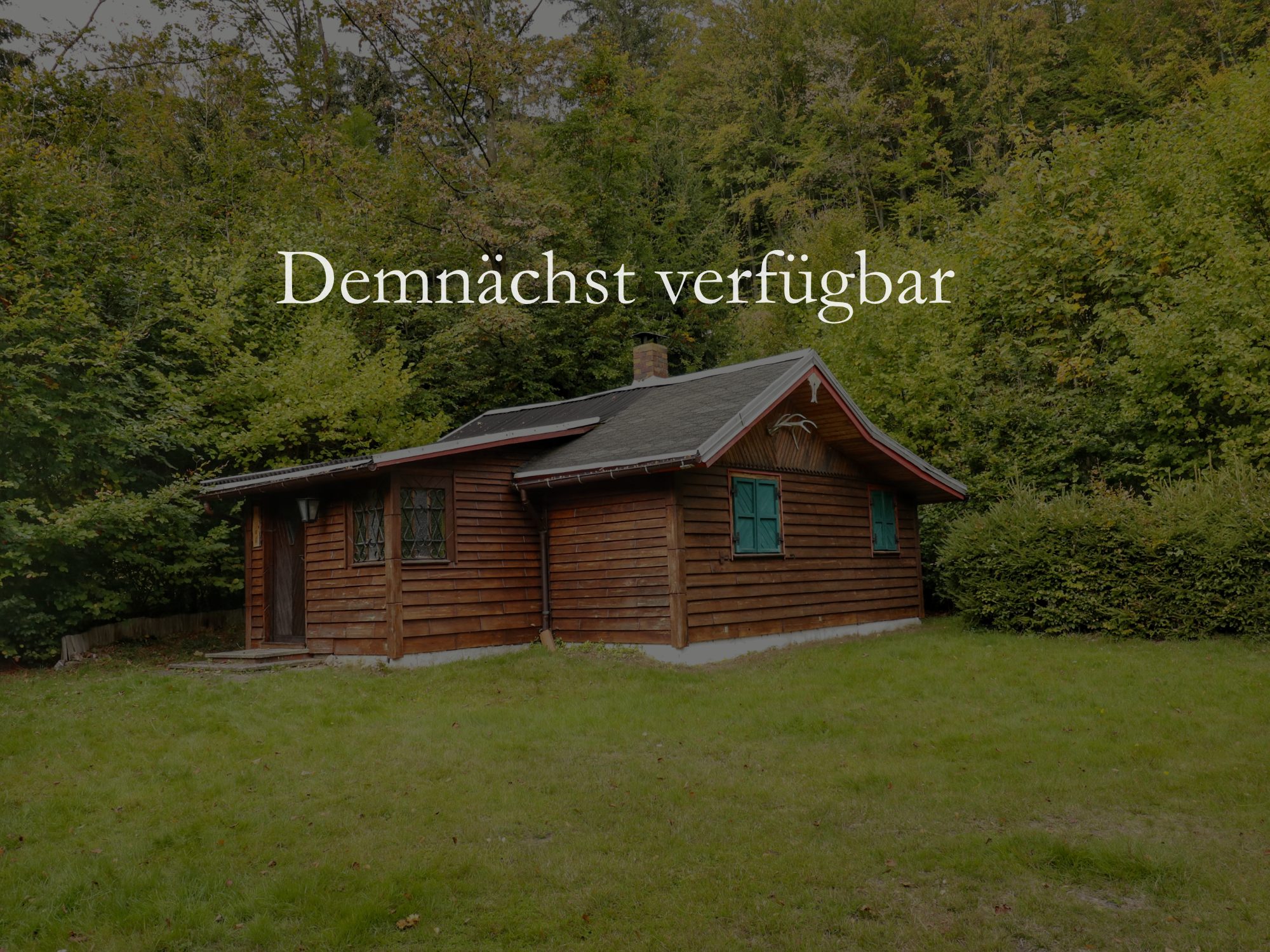 Tiny House mit dunkler Holzfassade in der Wiese und dem Hinweis Demnächst verfügbar